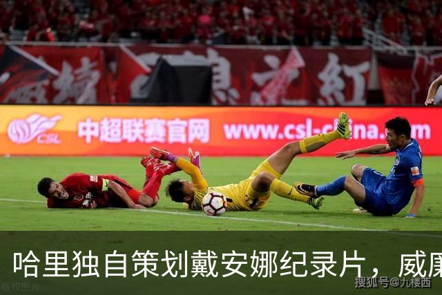 哈里独自策划戴安娜纪录片，威廉对此表示强烈不满