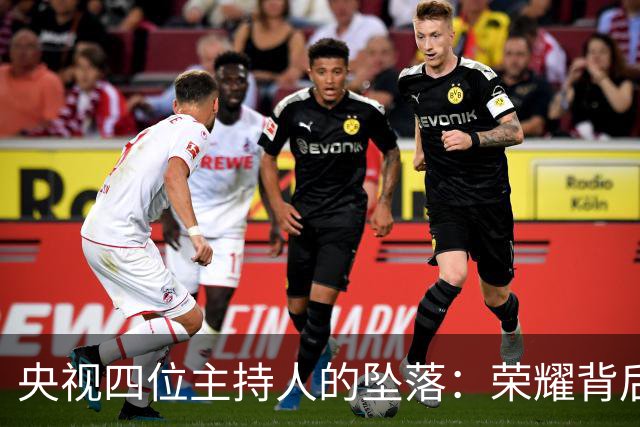 央视四位主持人的坠落：荣耀背后的暗流与教训
